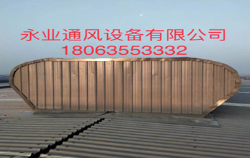 364231.jpg